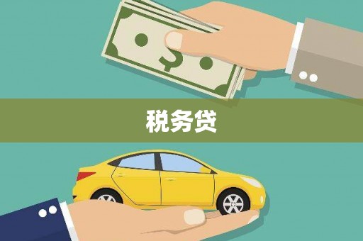 竹东税务贷