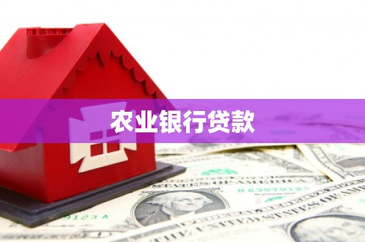 竹东农业银行贷款