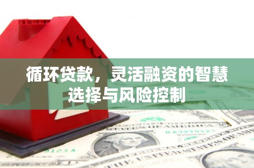 竹东循环贷款，灵活融资的智慧选择与风险控制