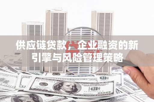 竹东供应链贷款，企业融资的新引擎与风险管理策略