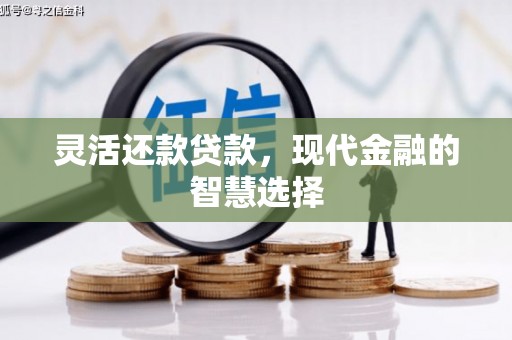 竹东灵活还款贷款，现代金融的智慧选择