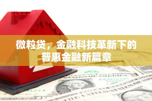 竹东微粒贷，金融科技革新下的普惠金融新篇章