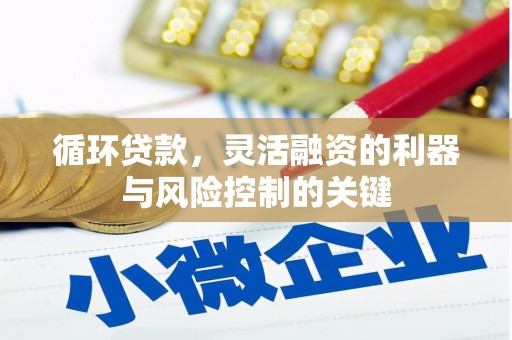 竹东循环贷款，灵活融资的利器与风险控制的关键