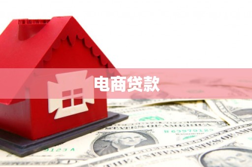 竹东电商贷款