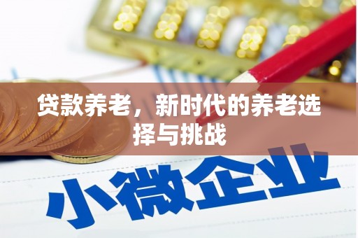 竹东贷款养老，新时代的养老选择与挑战