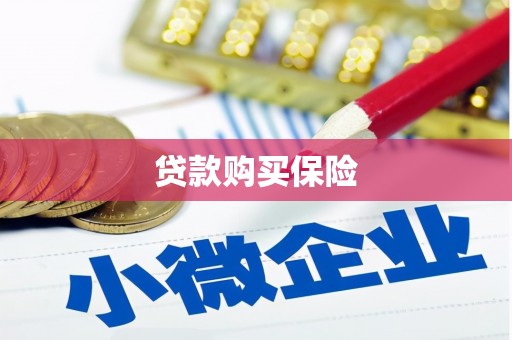 竹东贷款购买保险
