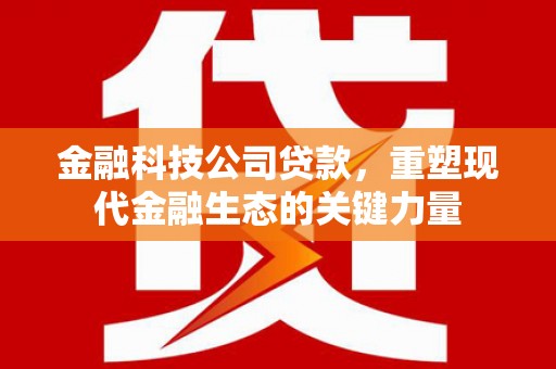竹东金融科技公司贷款，重塑现代金融生态的关键力量