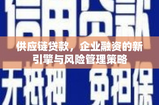 竹东供应链贷款，企业融资的新引擎与风险管理策略