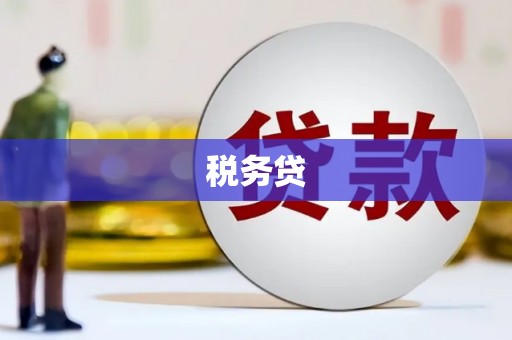 竹东税务贷