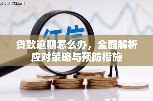 竹东贷款逾期怎么办，全面解析应对策略与预防措施