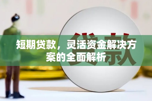 竹东短期贷款，灵活资金解决方案的全面解析