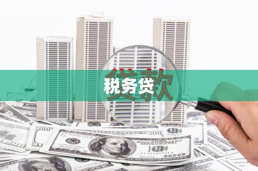 竹东税务贷