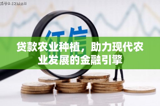 竹东贷款农业种植，助力现代农业发展的金融引擎