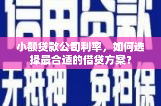 竹东小额贷款公司利率，如何选择最合适的借贷方案？