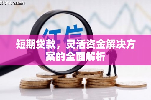 竹东短期贷款，灵活资金解决方案的全面解析