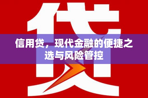 竹东信用贷，现代金融的便捷之选与风险管控