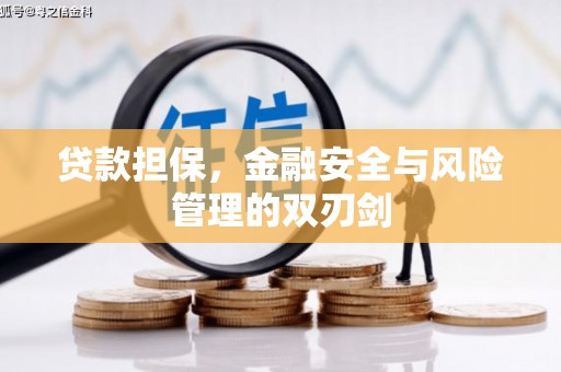 竹东贷款担保，金融安全与风险管理的双刃剑