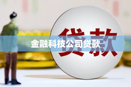 竹东金融科技公司贷款