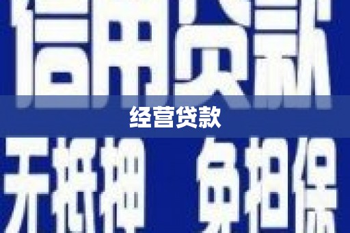 竹东经营贷款