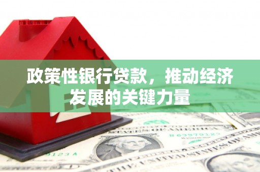 竹东政策性银行贷款，推动经济发展的关键力量