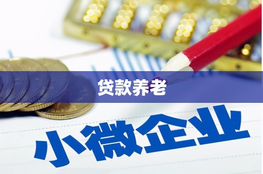 竹东贷款养老