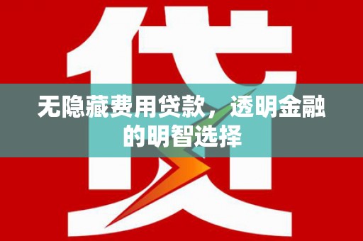 竹东无隐藏费用贷款，透明金融的明智选择