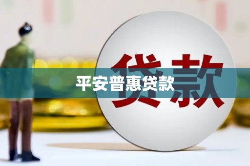 竹东平安普惠贷款