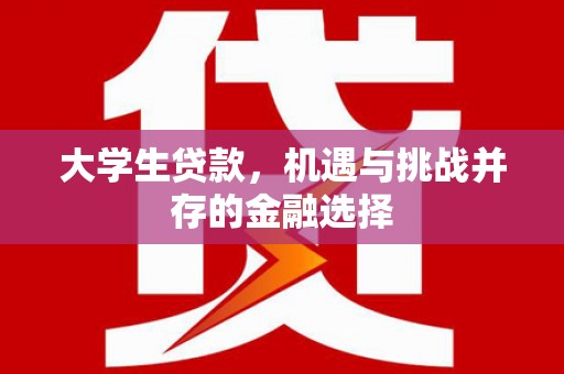 竹东大学生贷款，机遇与挑战并存的金融选择