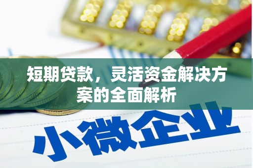竹东短期贷款，灵活资金解决方案的全面解析