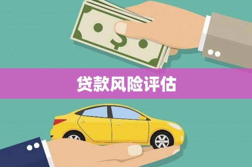 竹东贷款风险评估