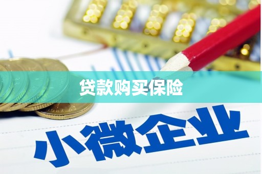竹东贷款购买保险