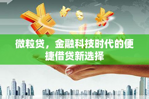 竹东微粒贷，金融科技时代的便捷借贷新选择