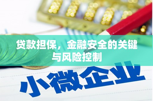 竹东贷款担保，金融安全的关键与风险控制