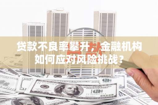 竹东贷款不良率攀升，金融机构如何应对风险挑战？