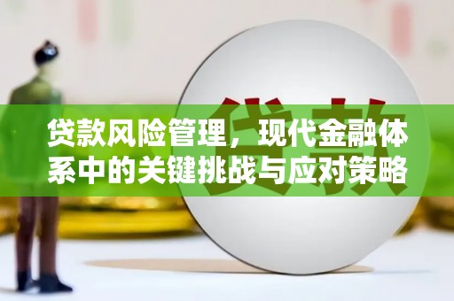 竹东贷款风险管理，现代金融体系中的关键挑战与应对策略
