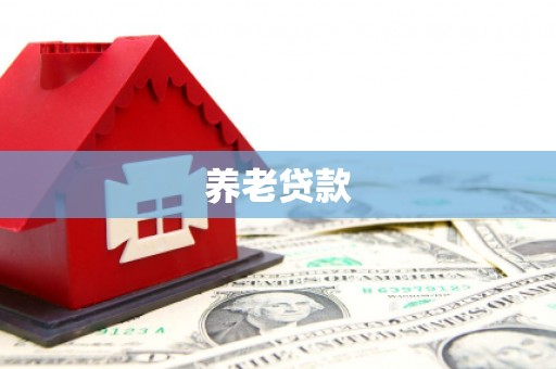 竹东养老贷款
