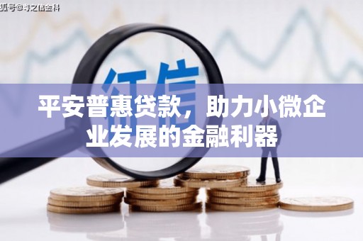 竹东平安普惠贷款，助力小微企业发展的金融利器