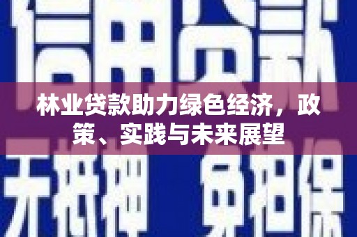 竹东林业贷款助力绿色经济，政策、实践与未来展望