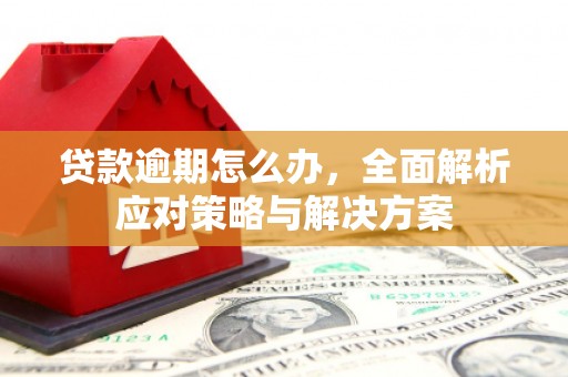 竹东贷款逾期怎么办，全面解析应对策略与解决方案
