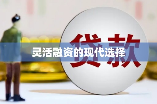 竹东灵活融资的现代选择