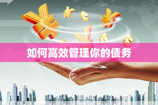 竹东如何高效管理你的债务