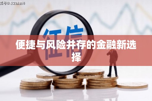 竹东便捷与风险并存的金融新选择