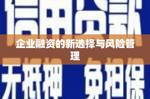 竹东企业融资的新选择与风险管理