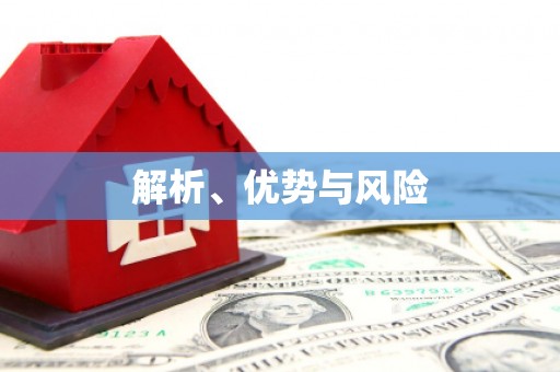 竹东解析、优势与风险