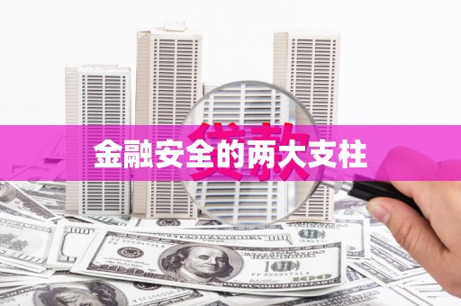 竹东金融安全的两大支柱