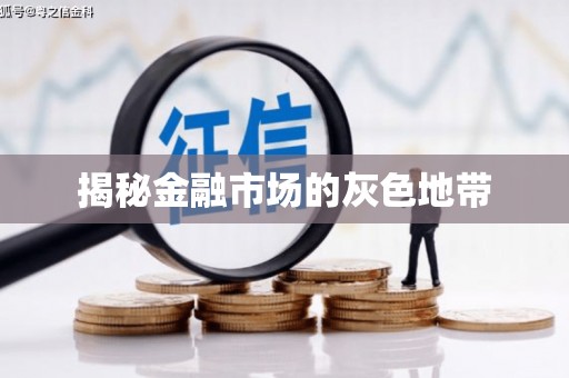 竹东揭秘金融市场的灰色地带