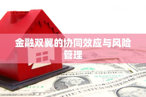 竹东金融双翼的协同效应与风险管理