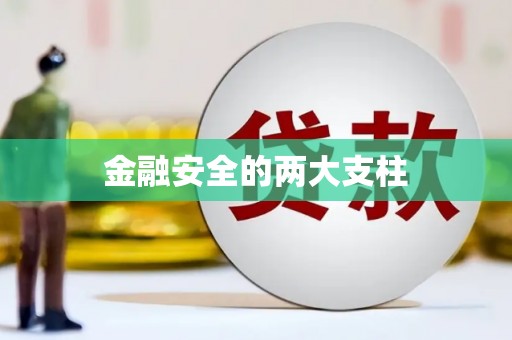 竹东金融安全的两大支柱