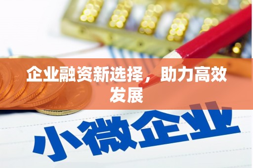 竹东企业融资新选择，助力高效发展