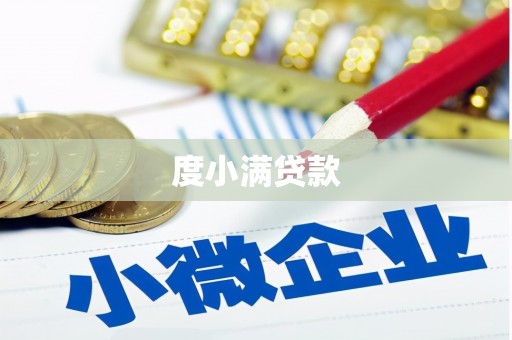 竹东度小满贷款